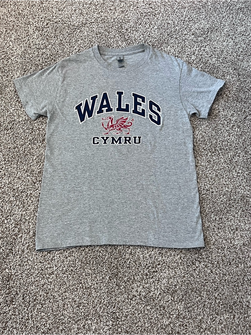 Adult Small T-Shirt with Navy Wales and Red Dragon